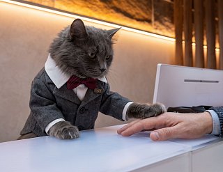 Гостите подольше: скидка 15% при бронировании от 3-х ночей